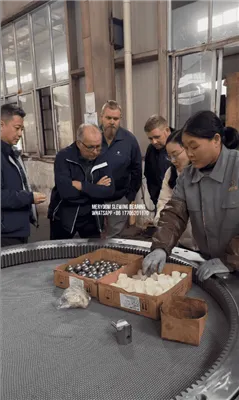Distinguished Clients From Finland Visited Our Factory